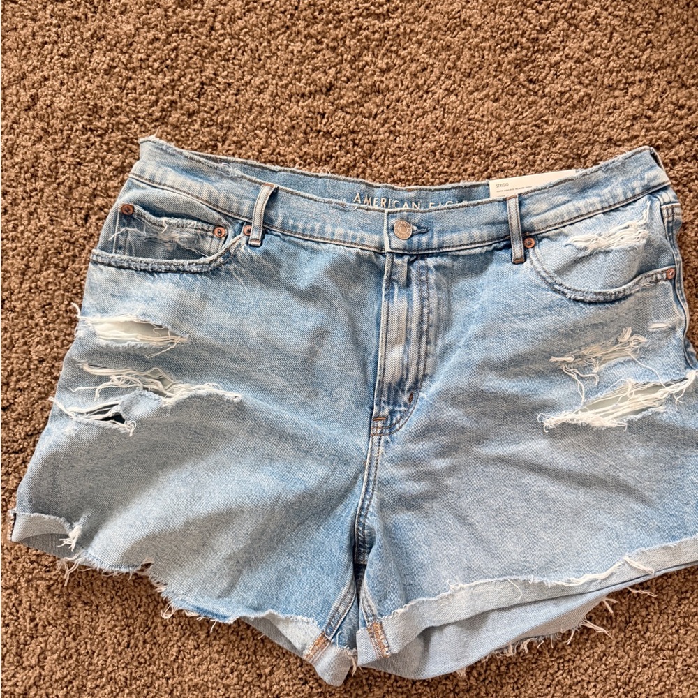 American Eagle Outfitters Light Blue Distressed Jean Shorts
